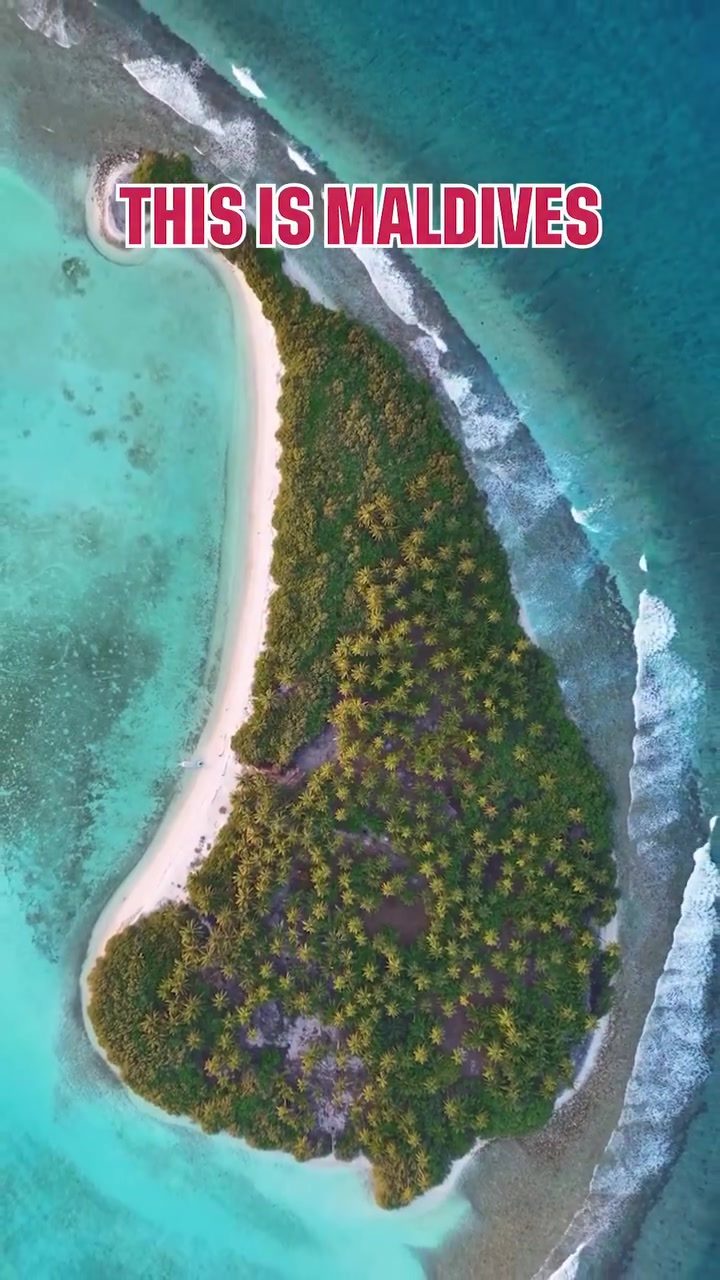 Exploring the Maldives from Above: Aerial Views of Lush Islands