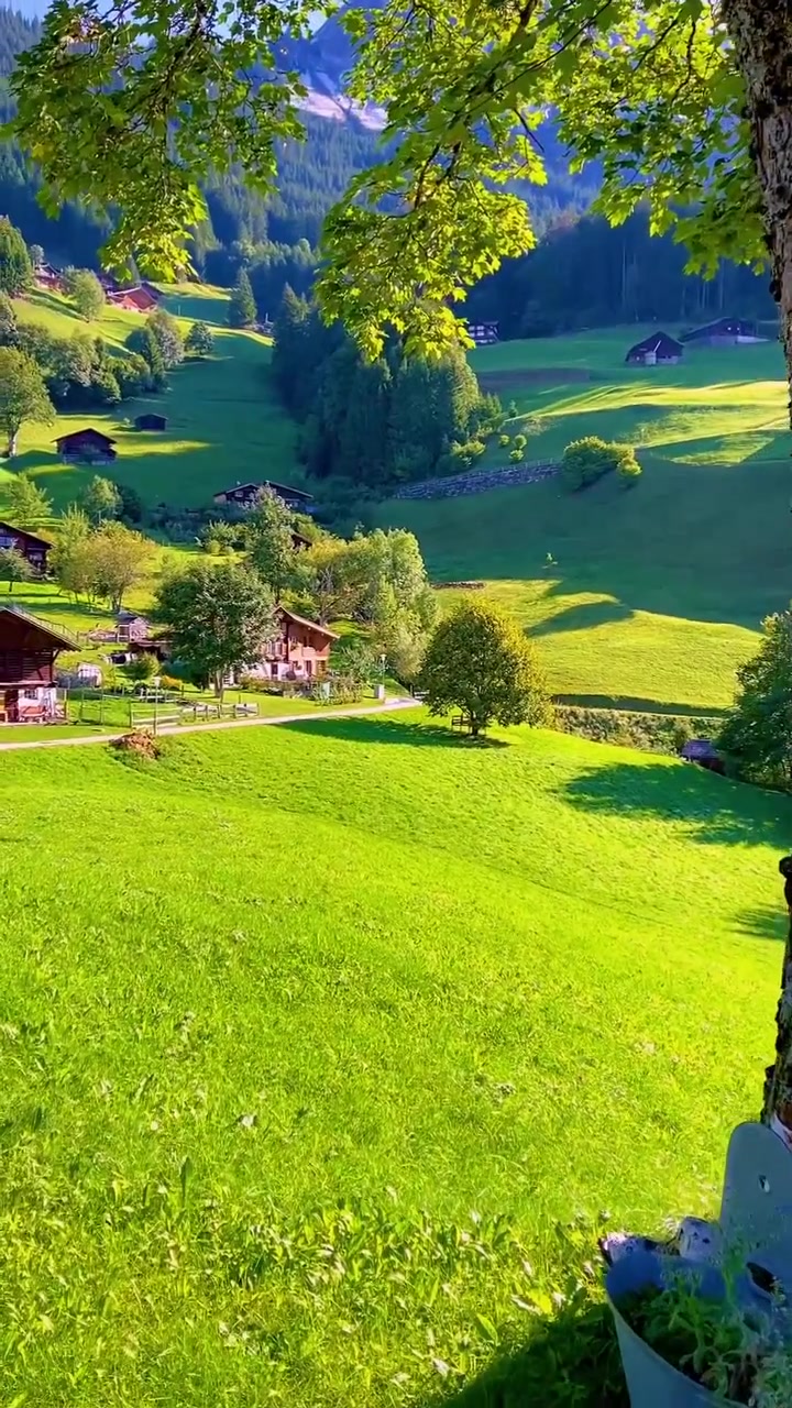 Swiss Alps Valley: Green Meadows and Chalets
