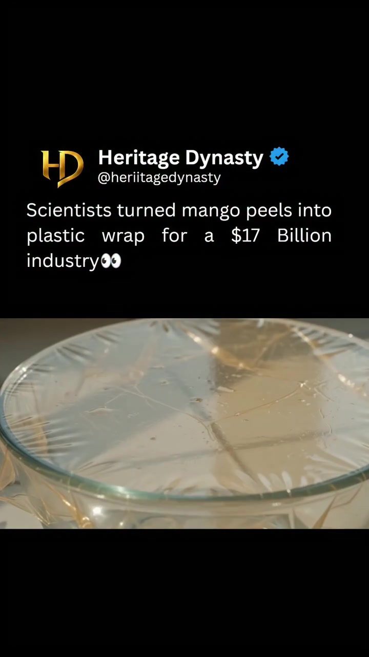 ### Mango Peel Plastic Wrap: Revolutionizing the Bioplastics Industry.