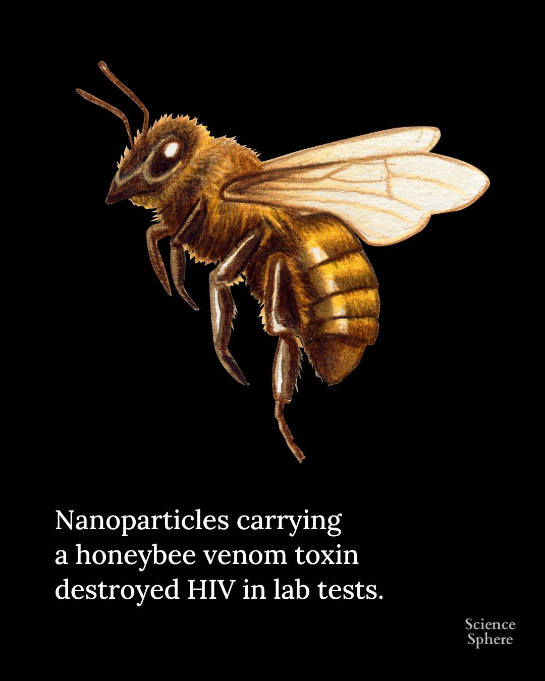 Nanoparticle HIV Treatment: Honeybee Venom's Promise