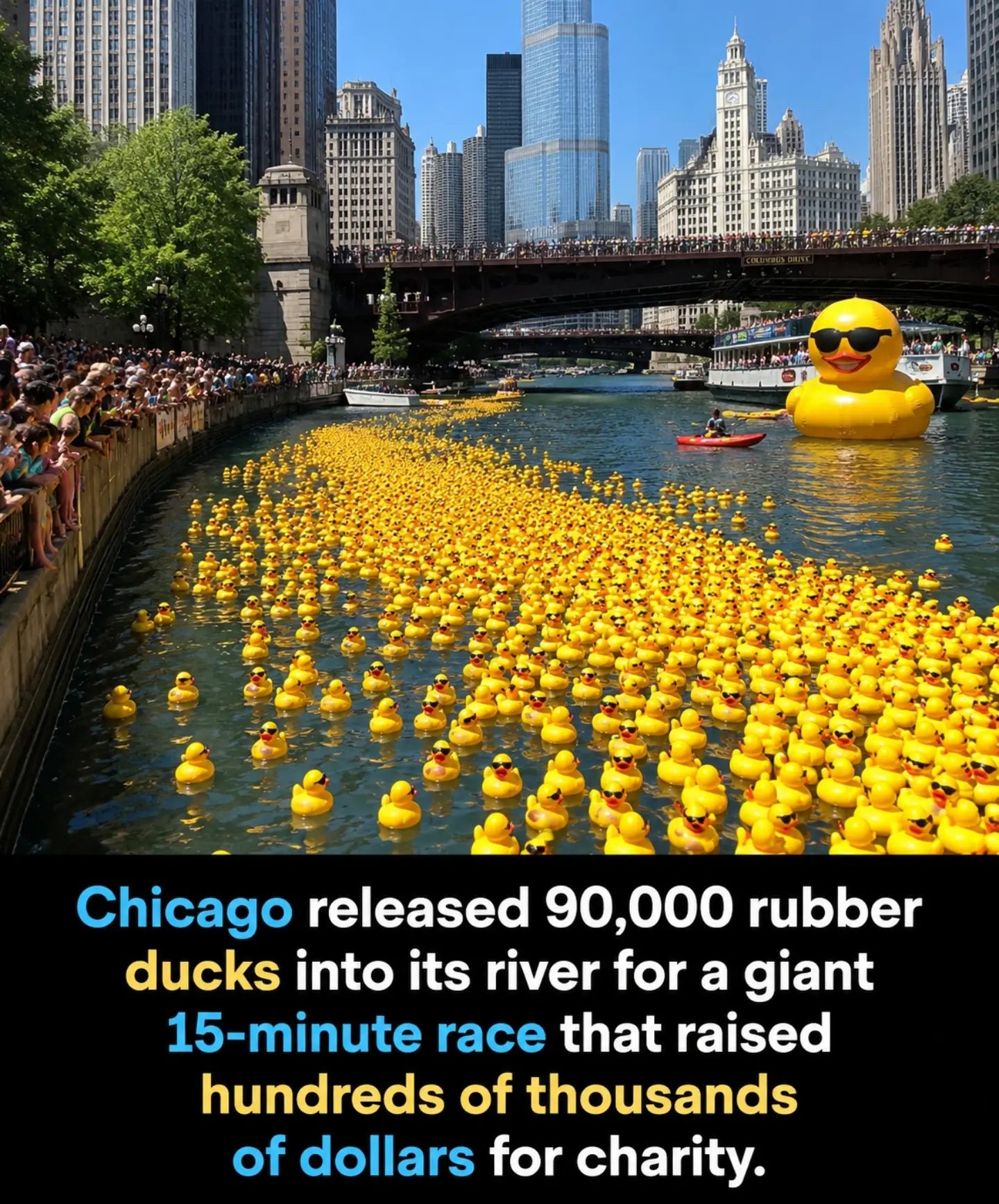 Chicago's 90,000 Duck Charity Race Raises Big