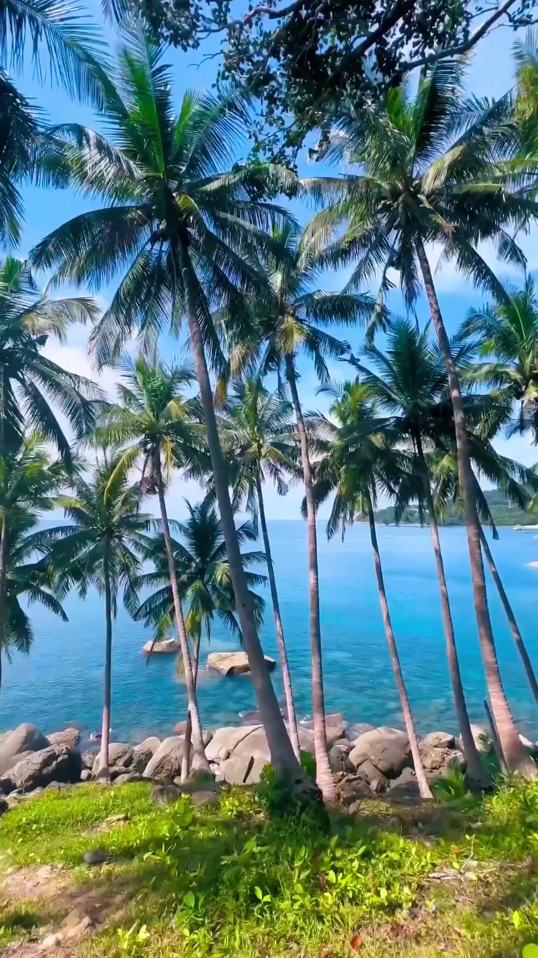 Sunny Rung's Thailand Travel Highlights