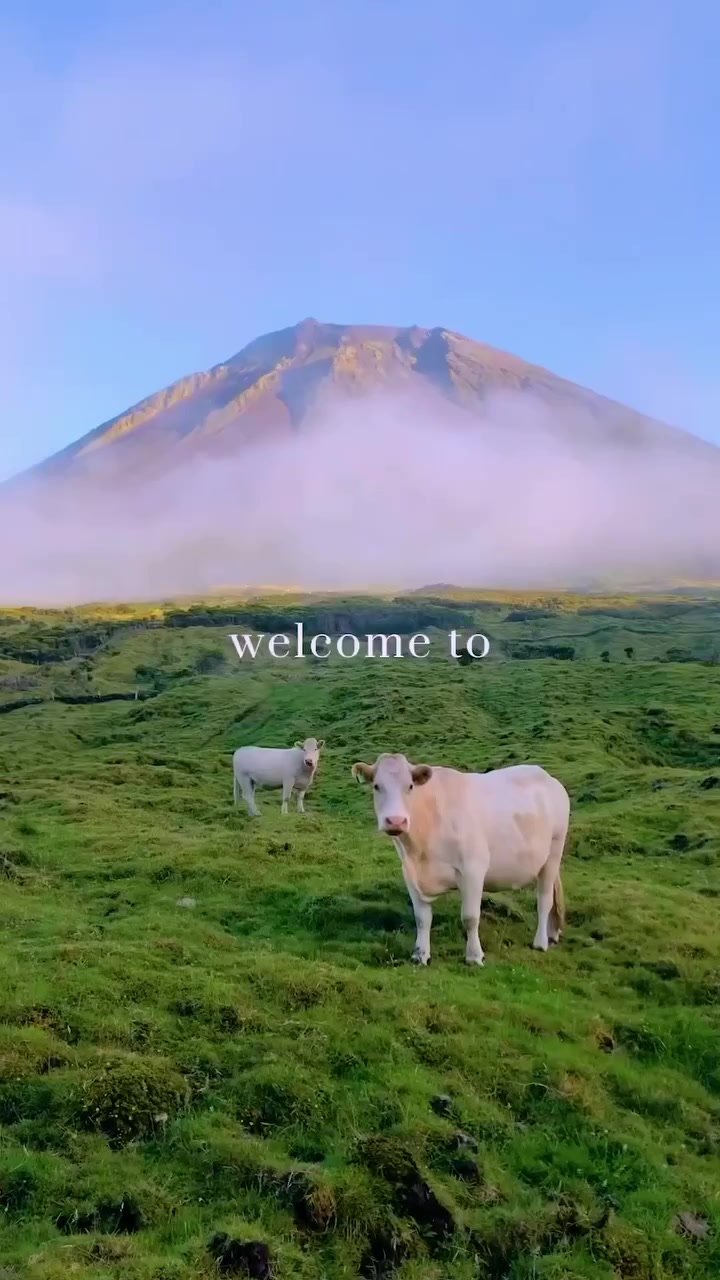 Azores Waterfalls: Portugal's Natural Wonders