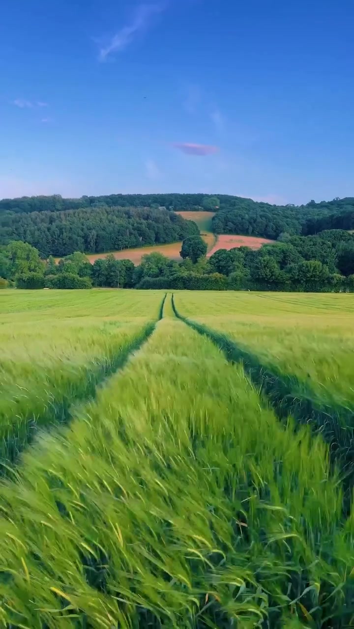 Countryside Views: Fields, Cottages, and Hills