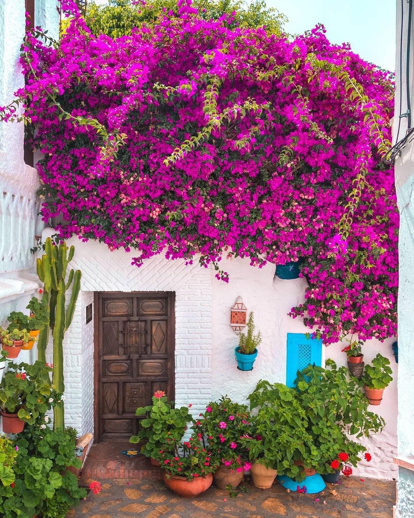 Andalusian Village Beauty: Bougainvillea and White Walls