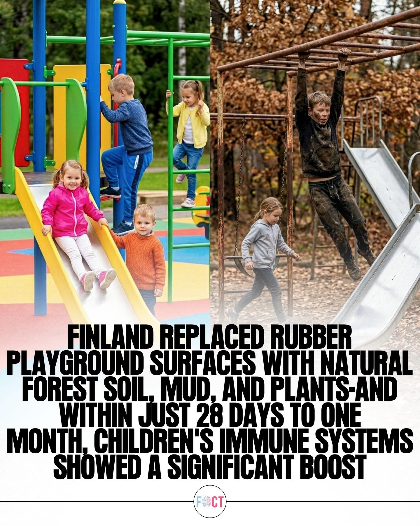 How Natural Playgrounds Boost Children's Immunity