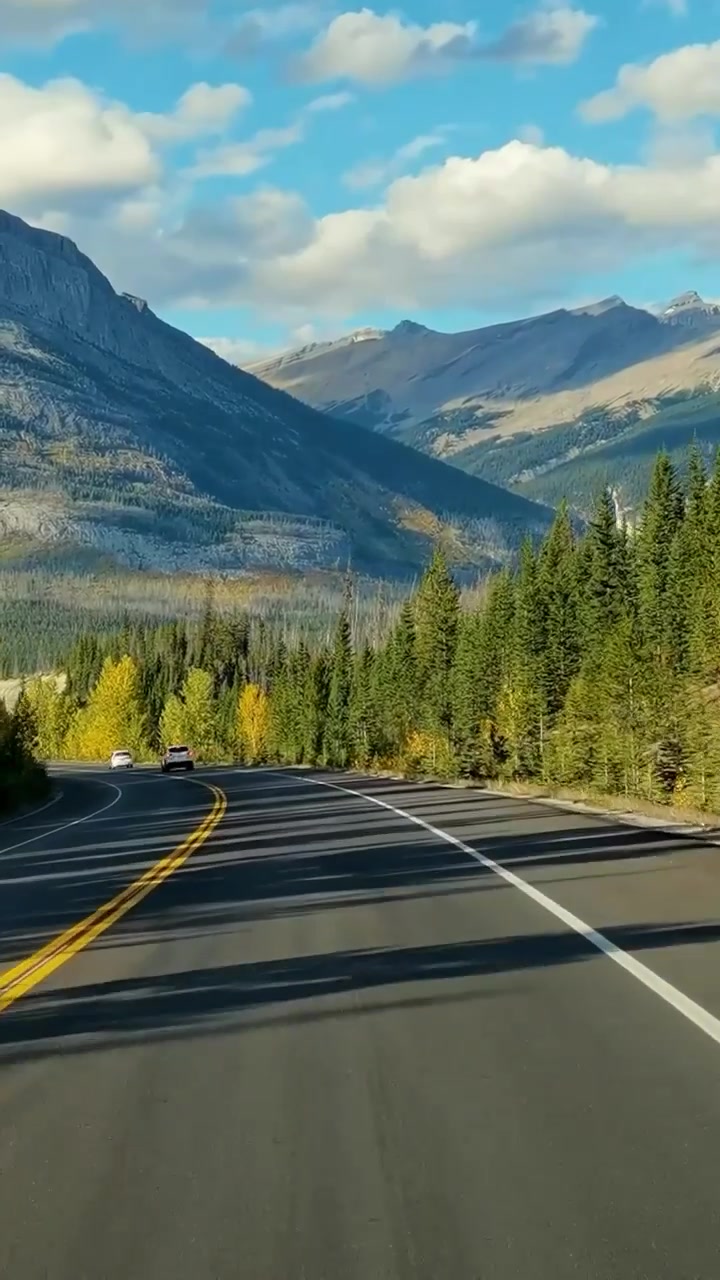 Mountain Road Trip: Scenic Drive Through Forests