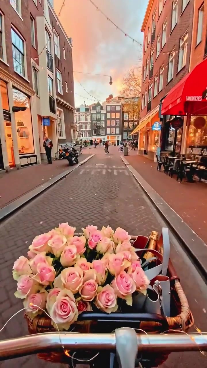 Amsterdam Bike Ride with Flowers on Cobblestone Street