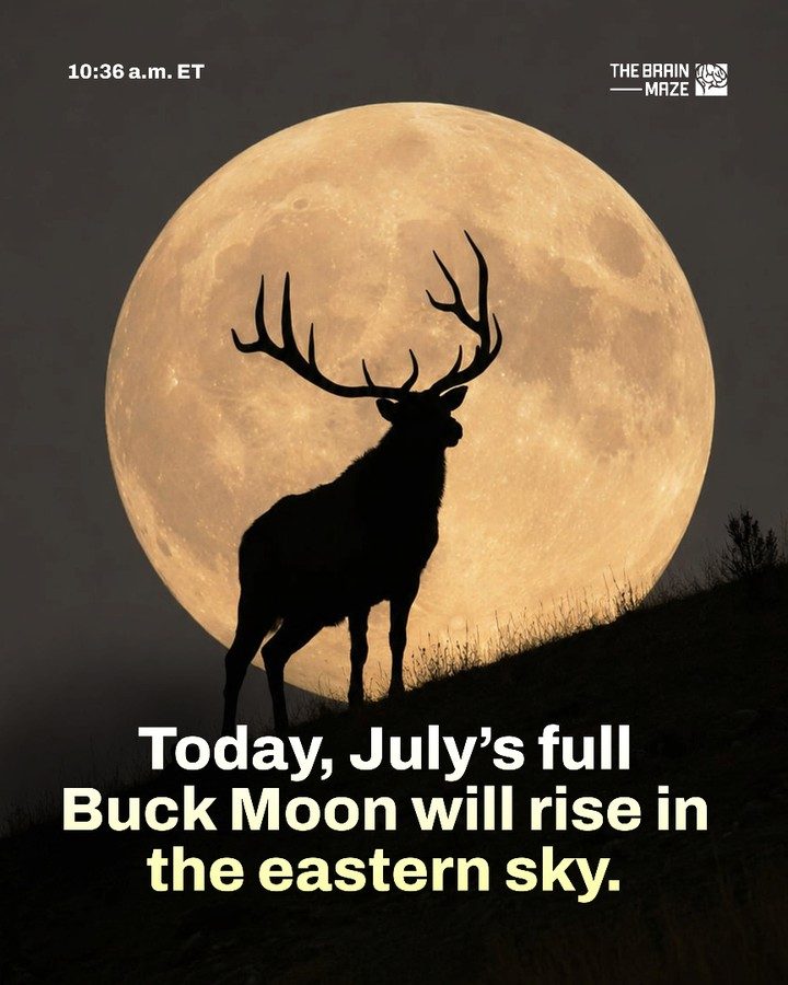Watch the Full Buck Moon Rise