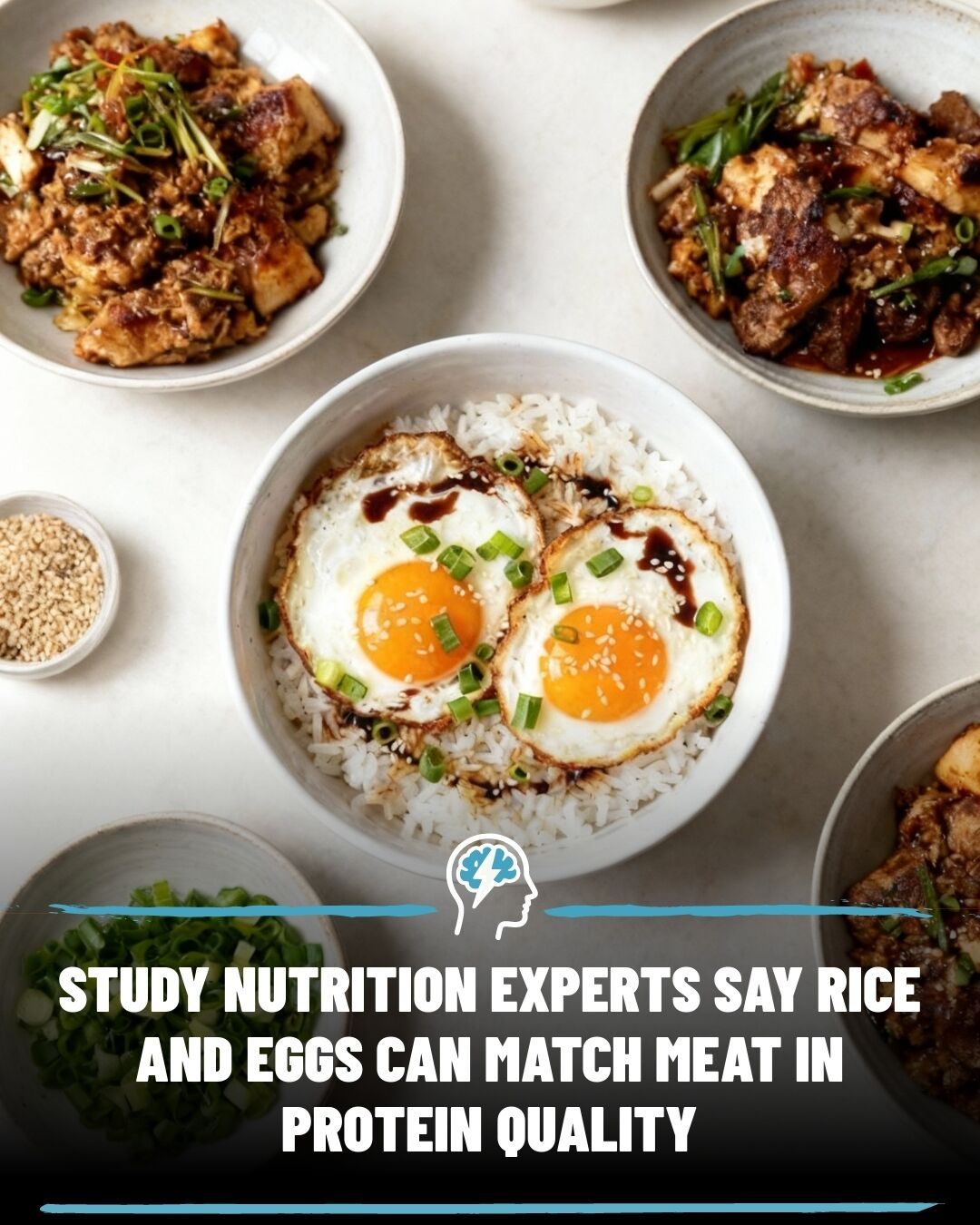 Rice and Eggs Protein Quality: The Truth Behind the Pairing