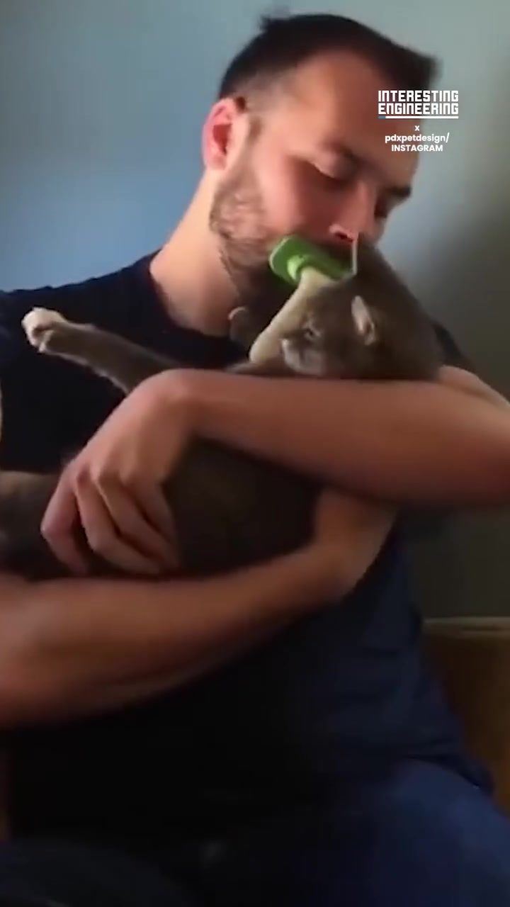 Innovative Interactive Dog Toy by PDXPetDesign
