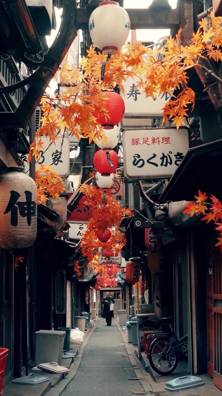 Japanese Alleyway: Autumn Charm in Japan