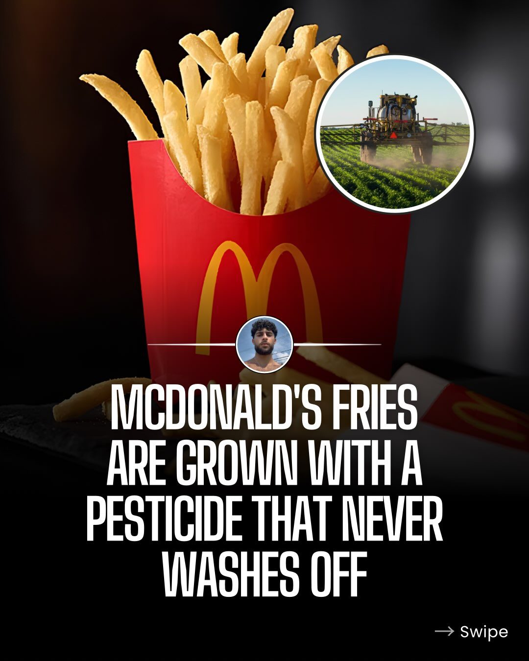 McDonald's Fries: U.S. vs. European Differences in 14 Ingredients