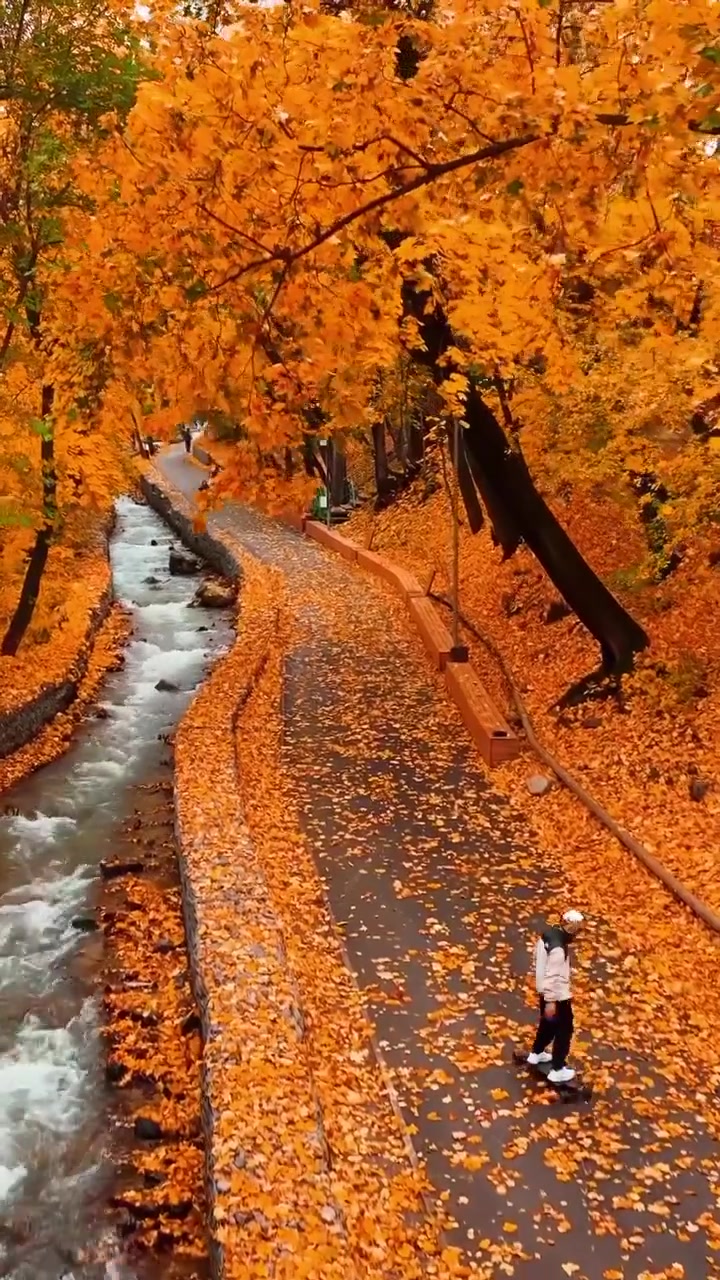 Autumn Skateboarding Through Vibrant Fall Foliage