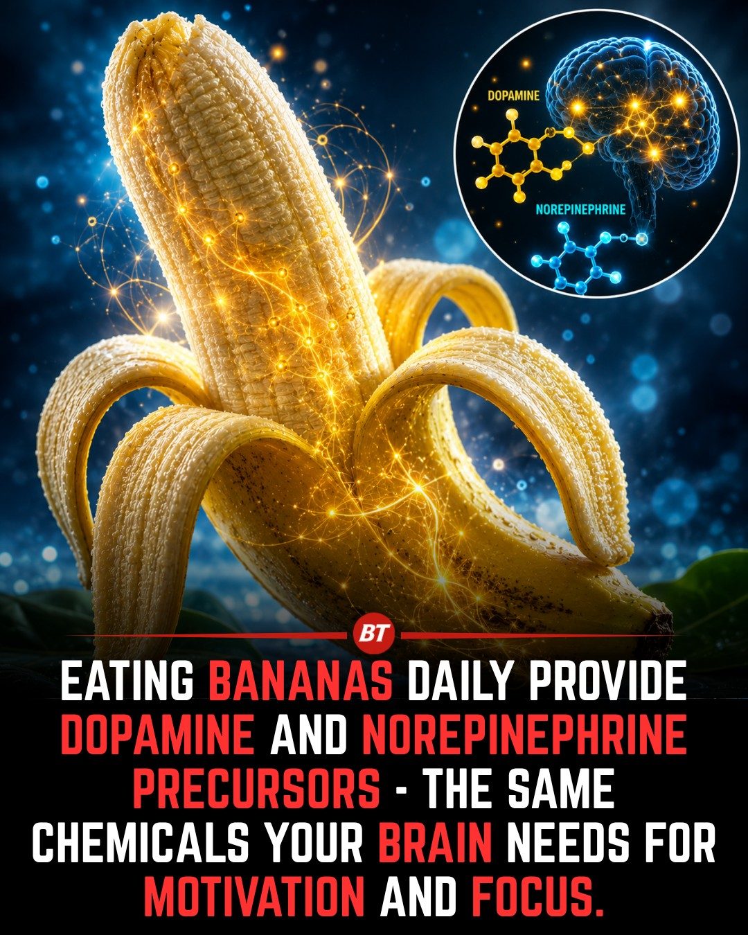 Boost Your Brain with Bananas: Key Nutrients for Motivation and Focus