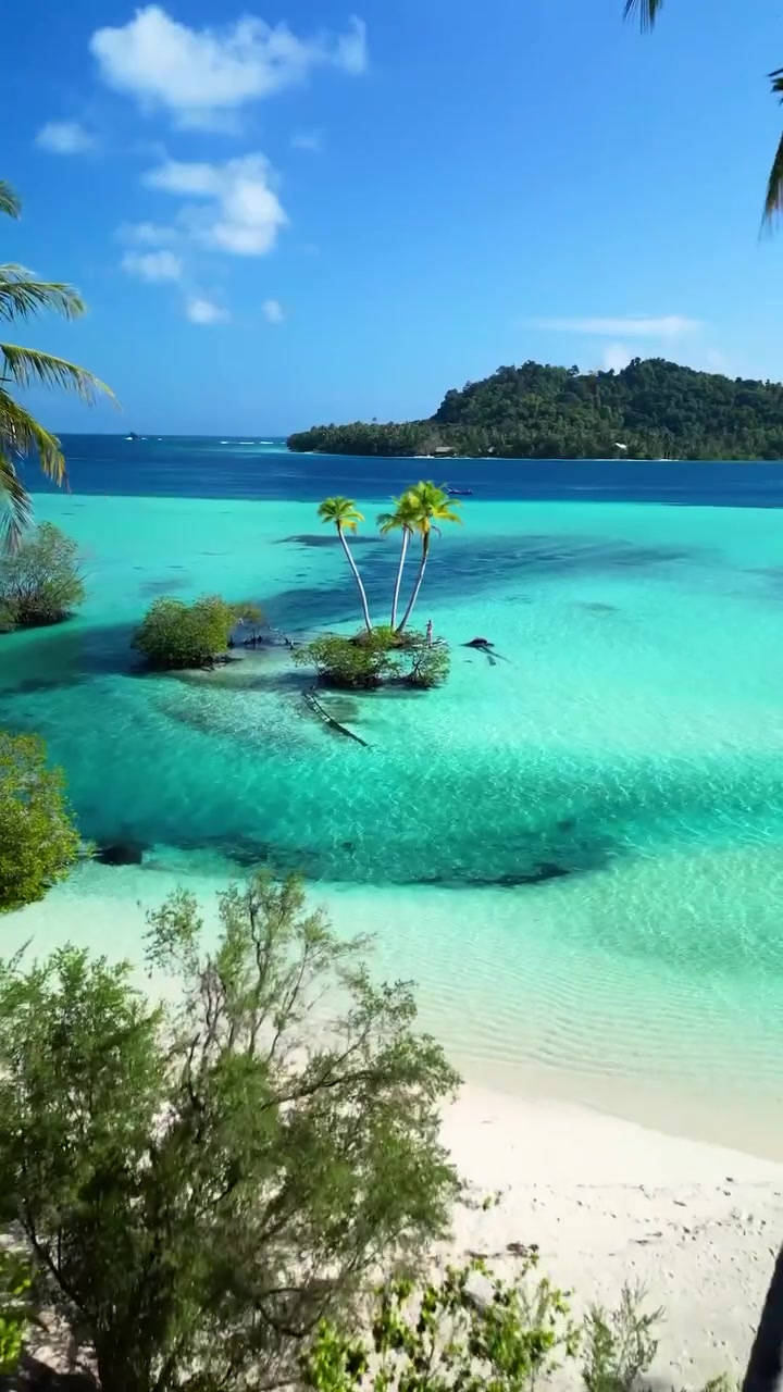Tropical Island Paradise: Aerial View