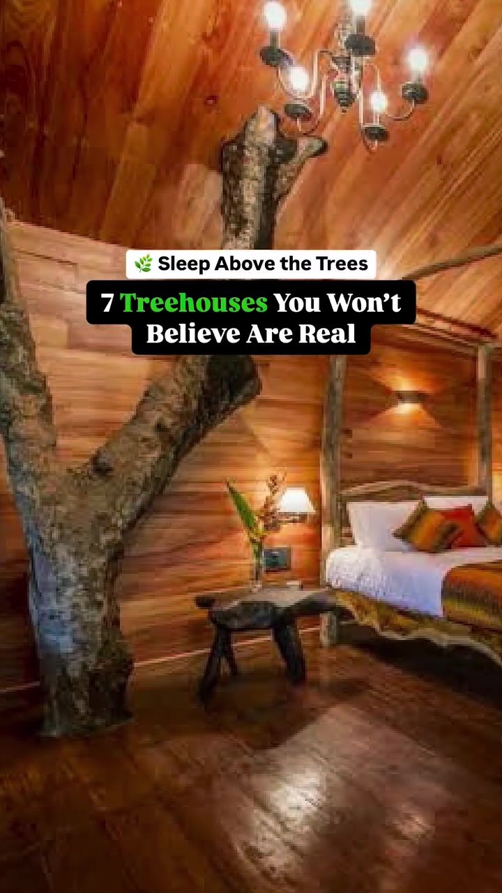 Discover Unforgettable Treehouse Stays in Kerala