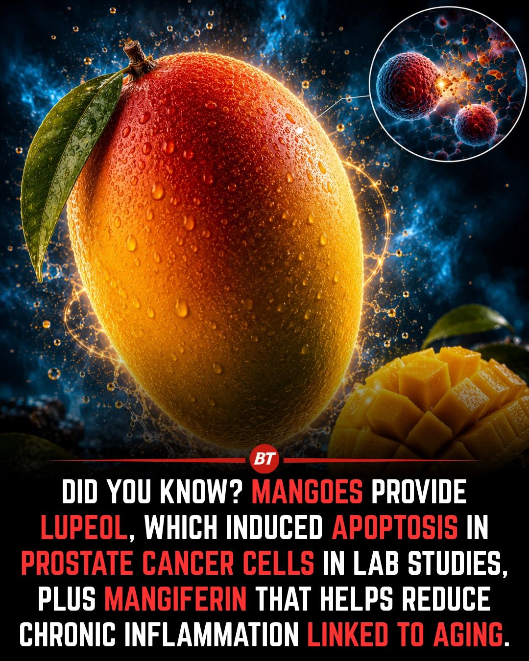 Mangoes' Secret Weapons: Lupeol and Mangiferin for Health