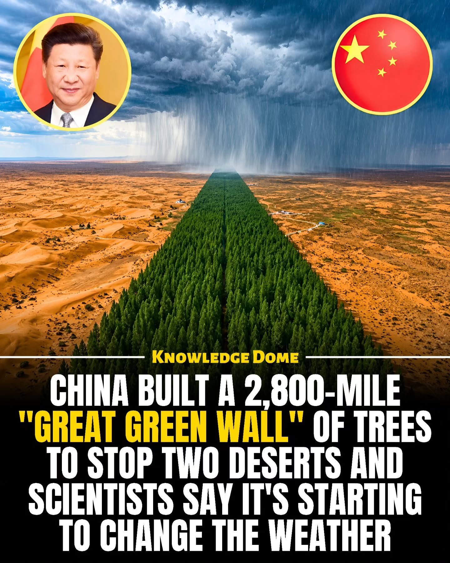 Exploring China's Great Green Wall: A 2,800 Mile Battle Against Desertification