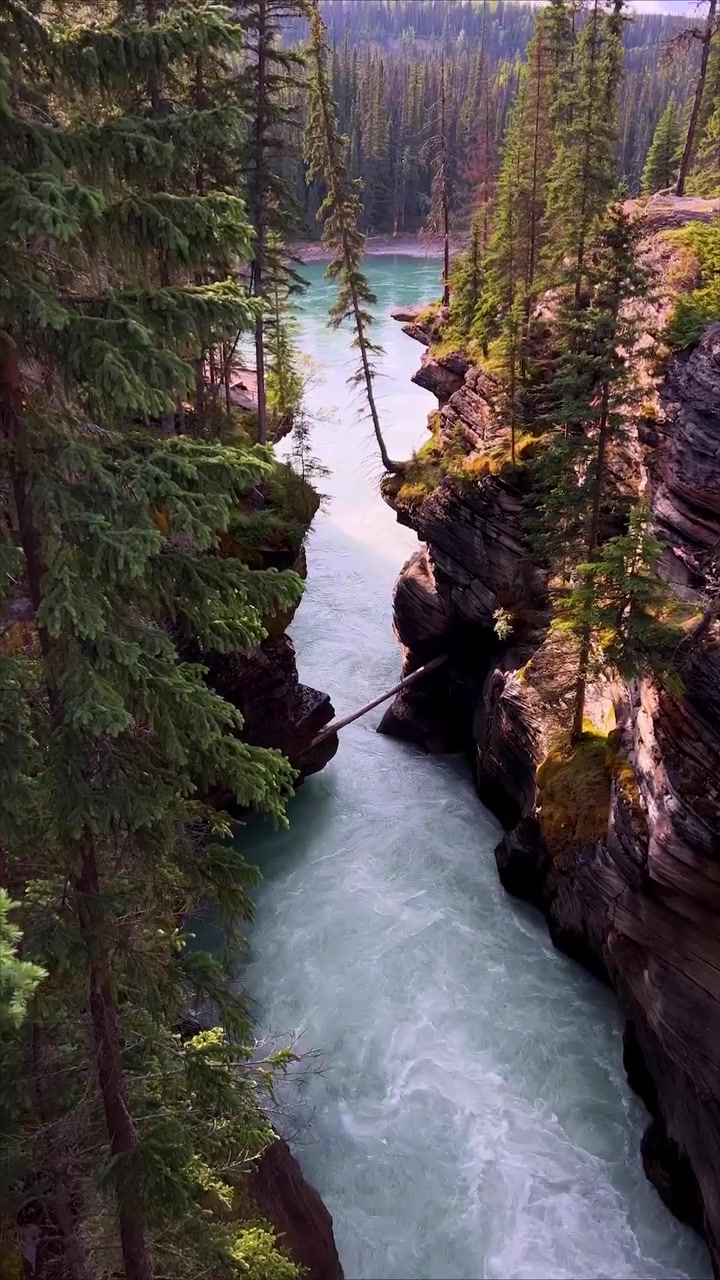Turquoise River Gorge: Stunning Landscape Video