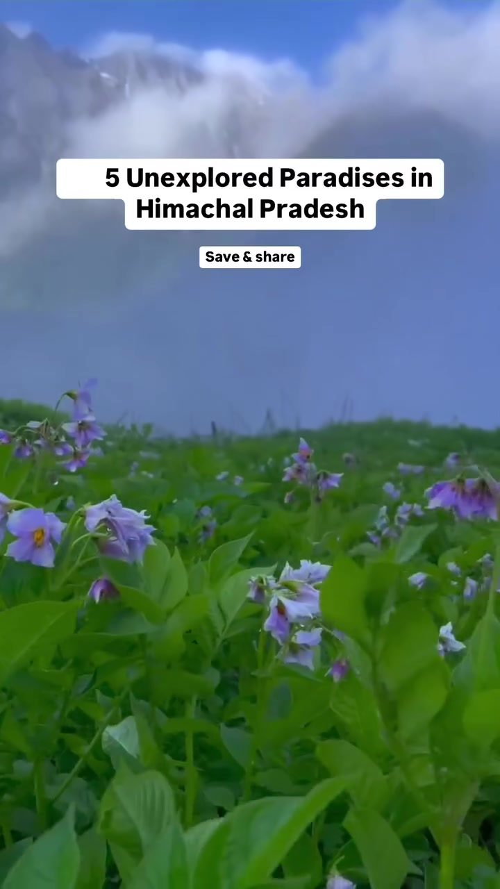Discover 5 Hidden Gems in Himachal Pradesh