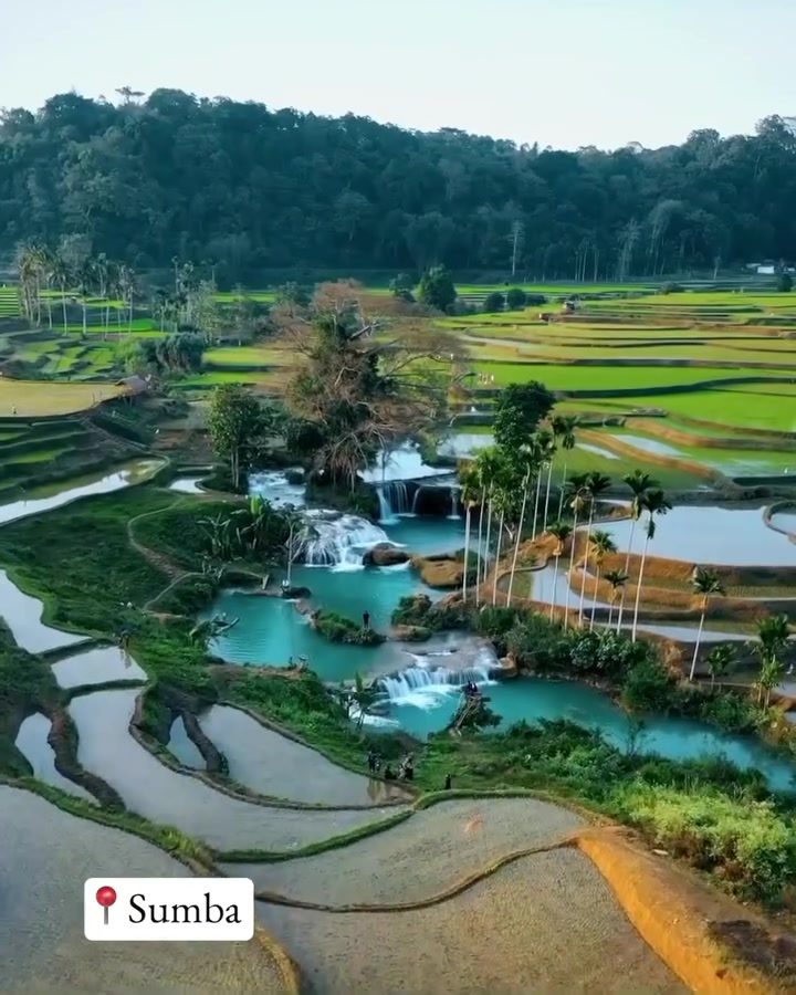 Exploring Sumba's Ancient Villages and Stunning Landscapes