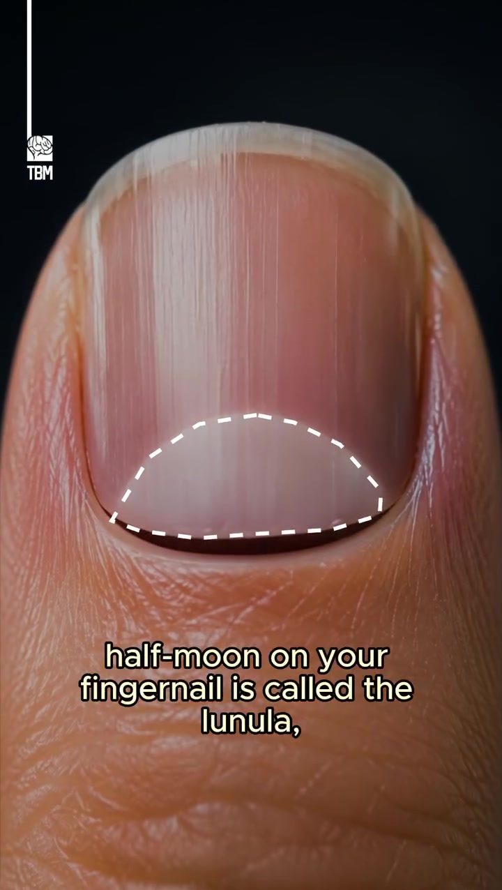 Understanding Your Nail Health: Lunula Color Changes to Monitor