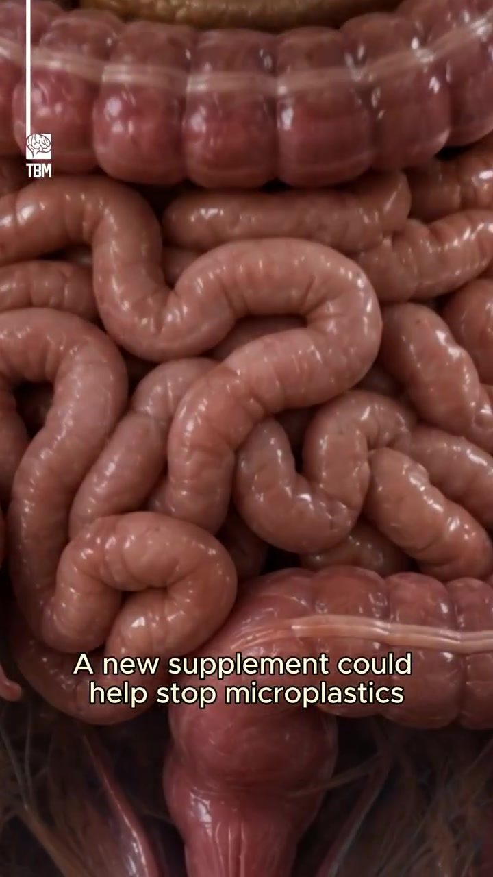 How a New Supplement May Trap Microplastics in the Gut