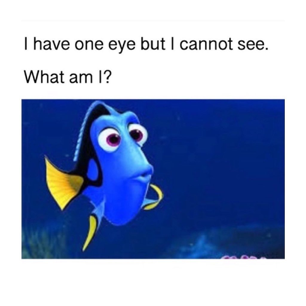 Riddle Answer Revealed: The Surprising Solution with Dory