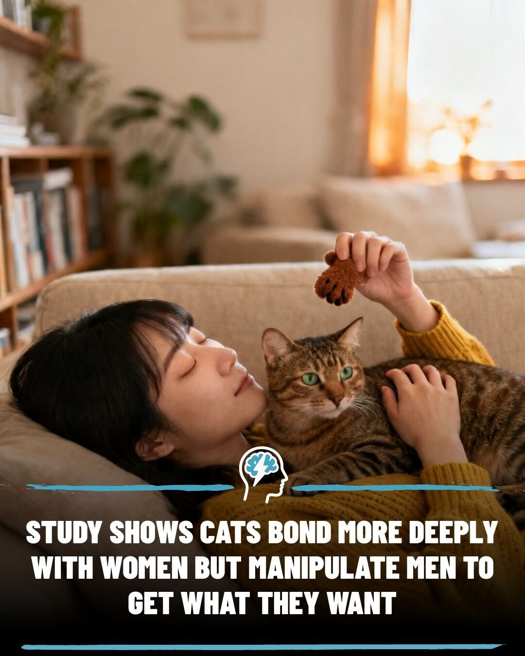 Cats Bond More with Women: Communication Insights