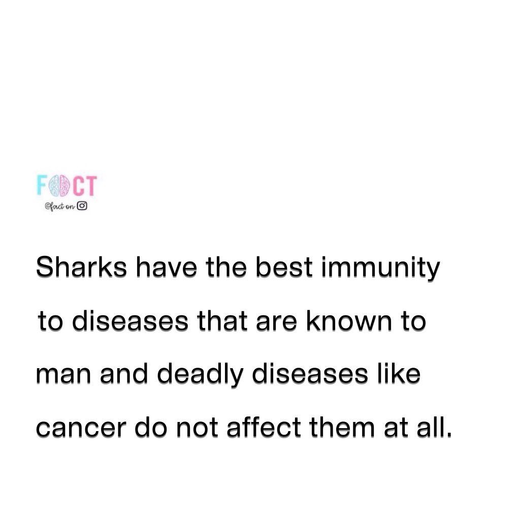 Sharks' Remarkable Resistance to Cancer & Diseases