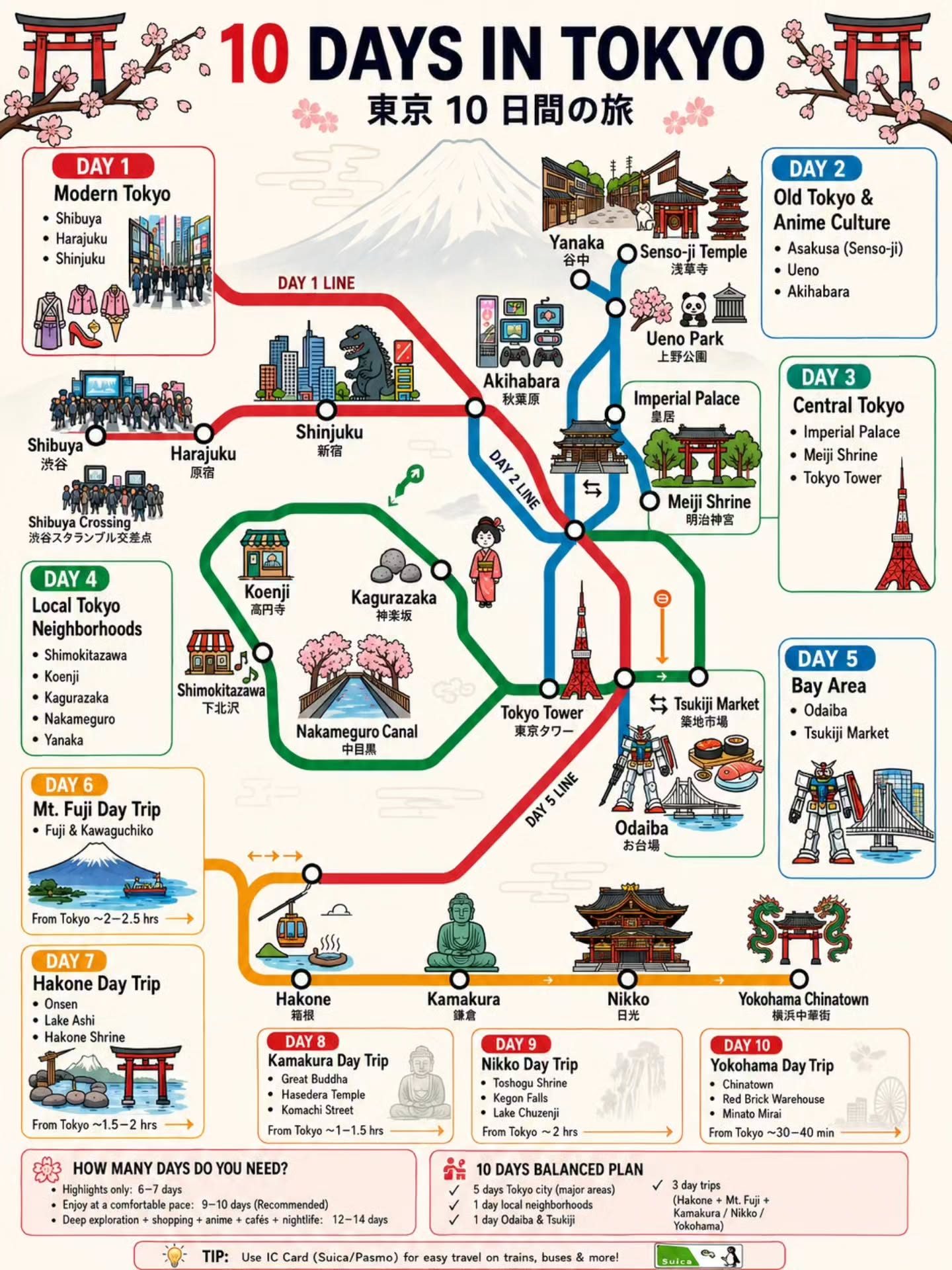 10-Day Tokyo Itinerary: Explore Modern and Traditional Neighborhoods