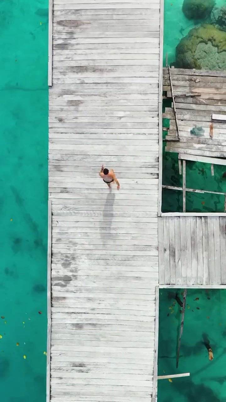 Swimming with Sharks in Raja Ampat Islands
