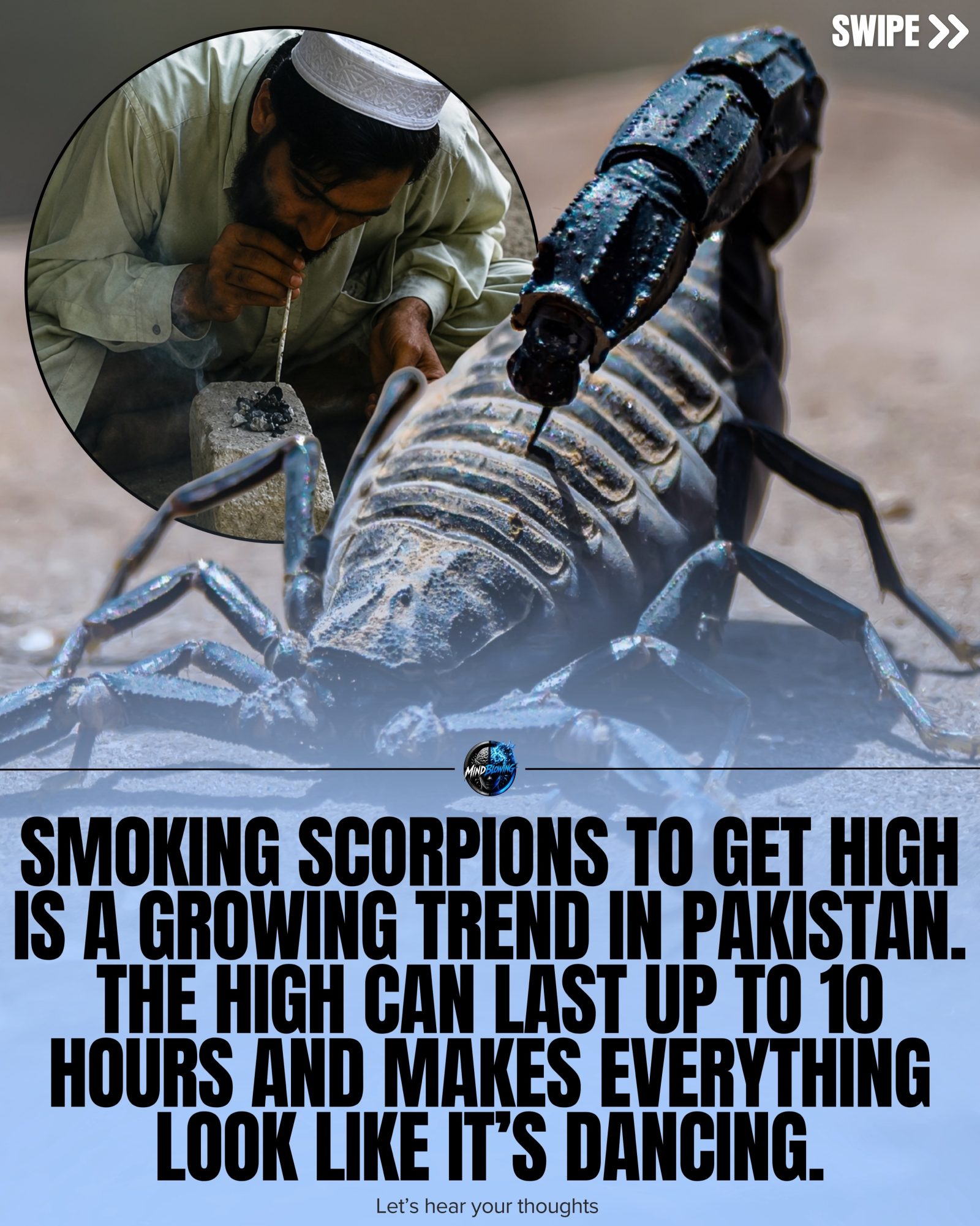 Scorpion Smoking Trend: The Alarming High in Pakistan