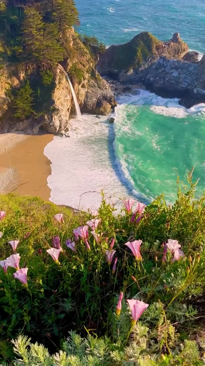 McWay Falls: Big Sur's Stunning Coastal Beauty
