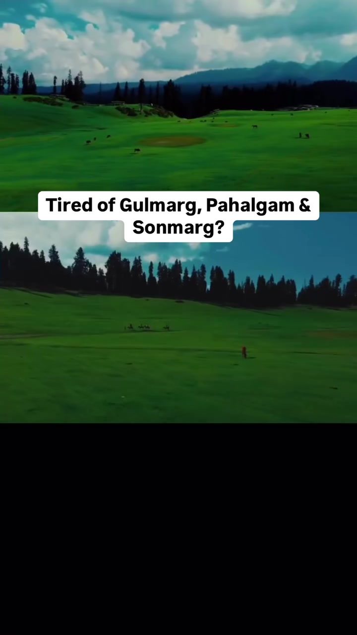 Discover Kashmir's Hidden 'Trekker's Paradise' Meadow