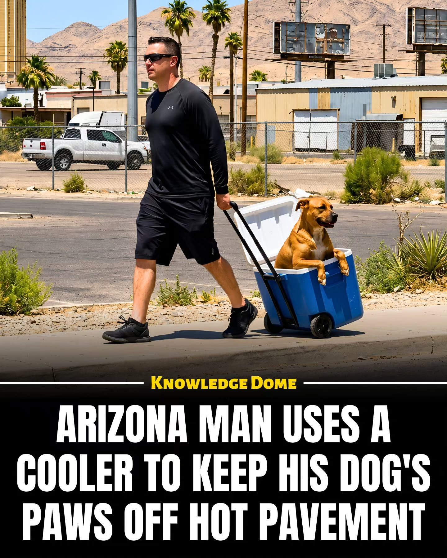 Arizona Man's Creative Solution: Keeping Dog Paws Safe from Hot Pavement