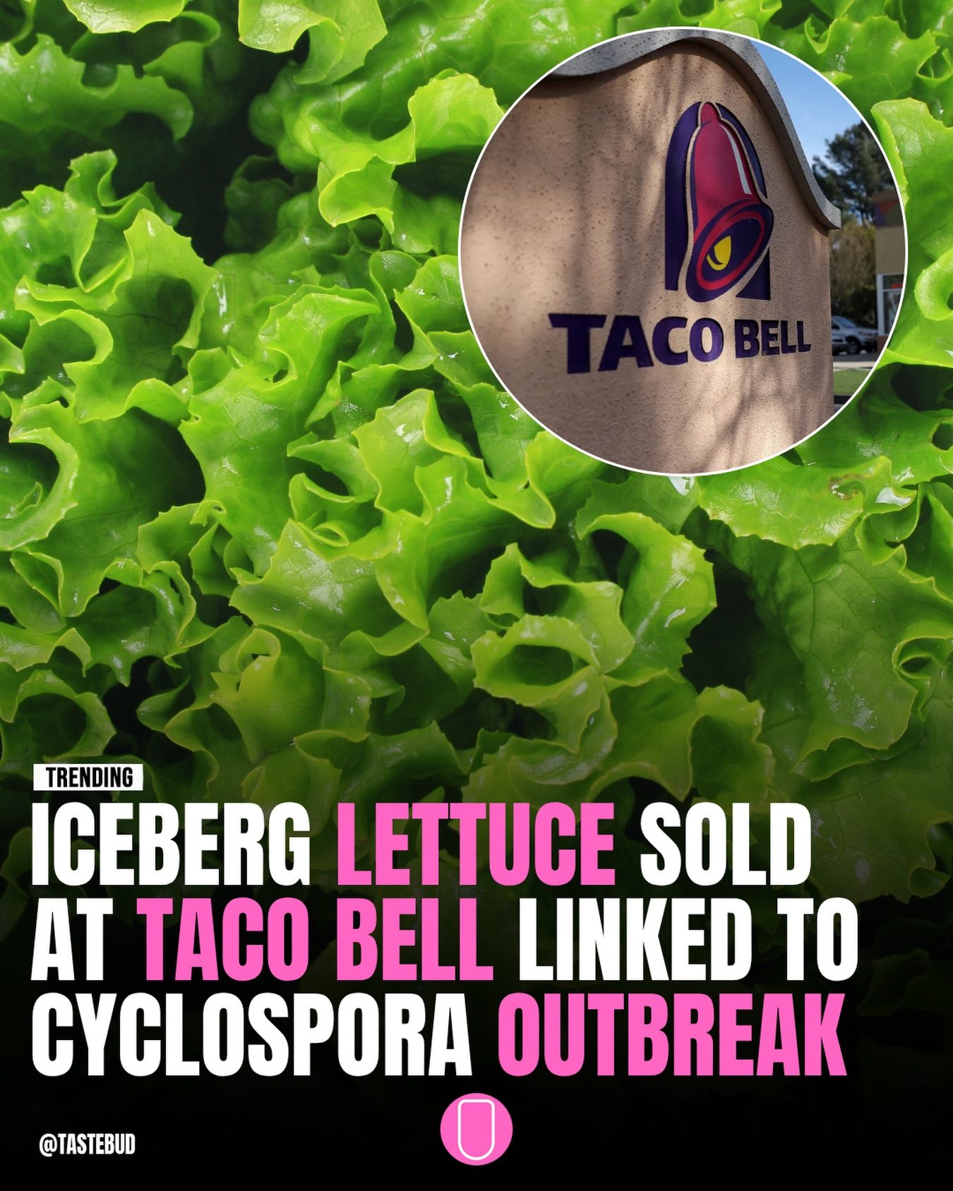 Cyclospora Outbreak: Taco Bell Lettuce Blamed for 1,600+ Illnesses