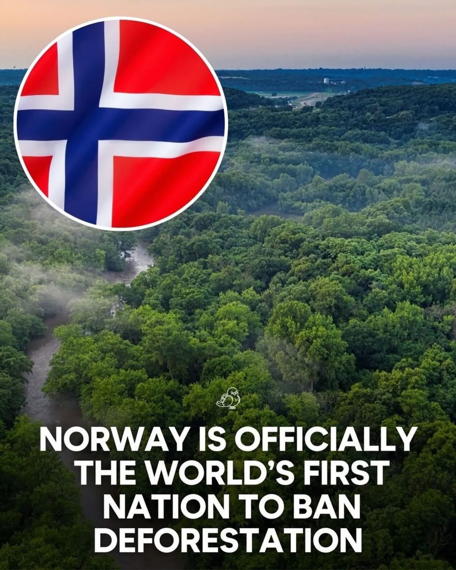 Norway Pioneers Global Deforestation Ban for Climate Action