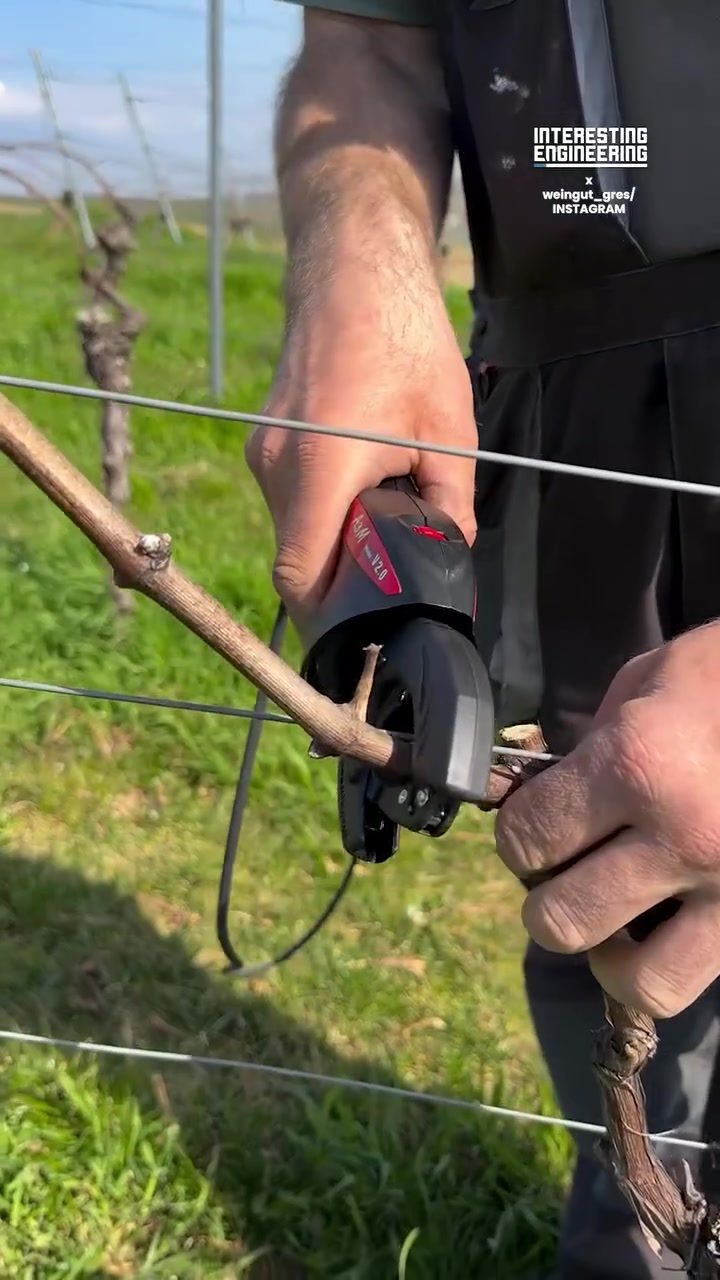 Best Pruning Shears for Vineyards: Manual vs. Semi-Automatic