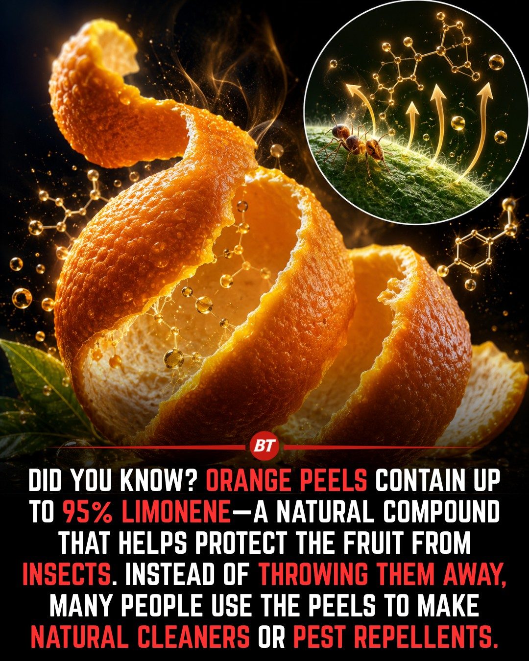 Unlock the Power of Orange Peels: Natural Cleaners & More