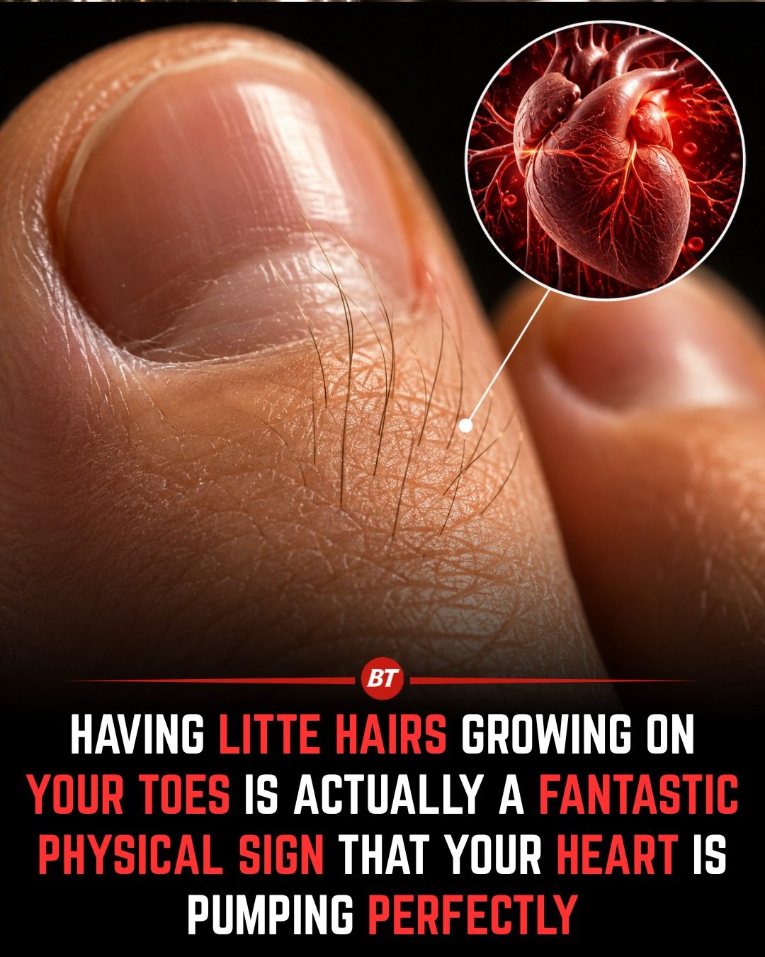 Toe Hair: A Surprising Sign of Good Circulation