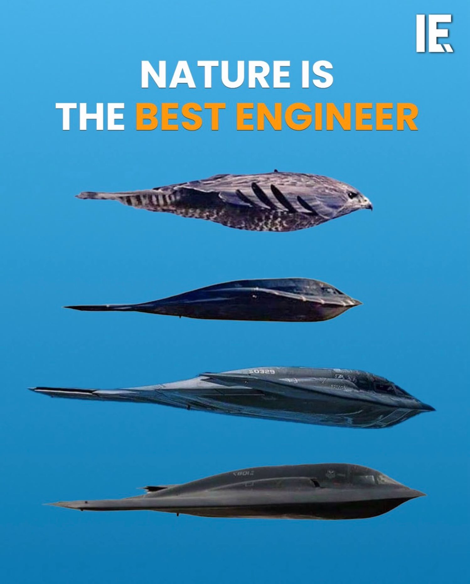 Biomimicry: Nature's Designs vs.