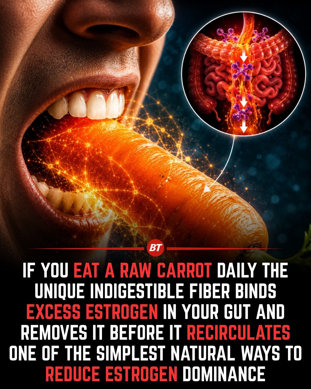 Eat Raw Carrots Daily for Better Hormone and Digestive Health