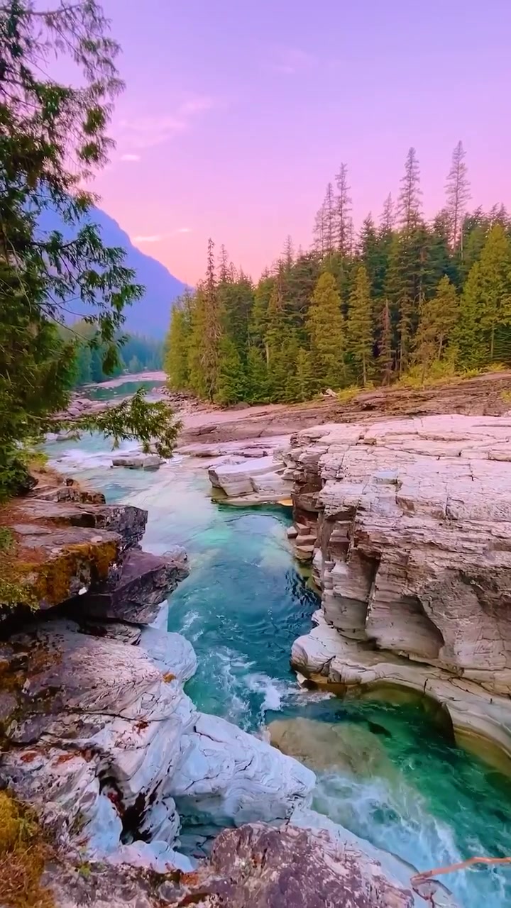 Avalanche Creek's Scenic Beauty in Glacier National Park