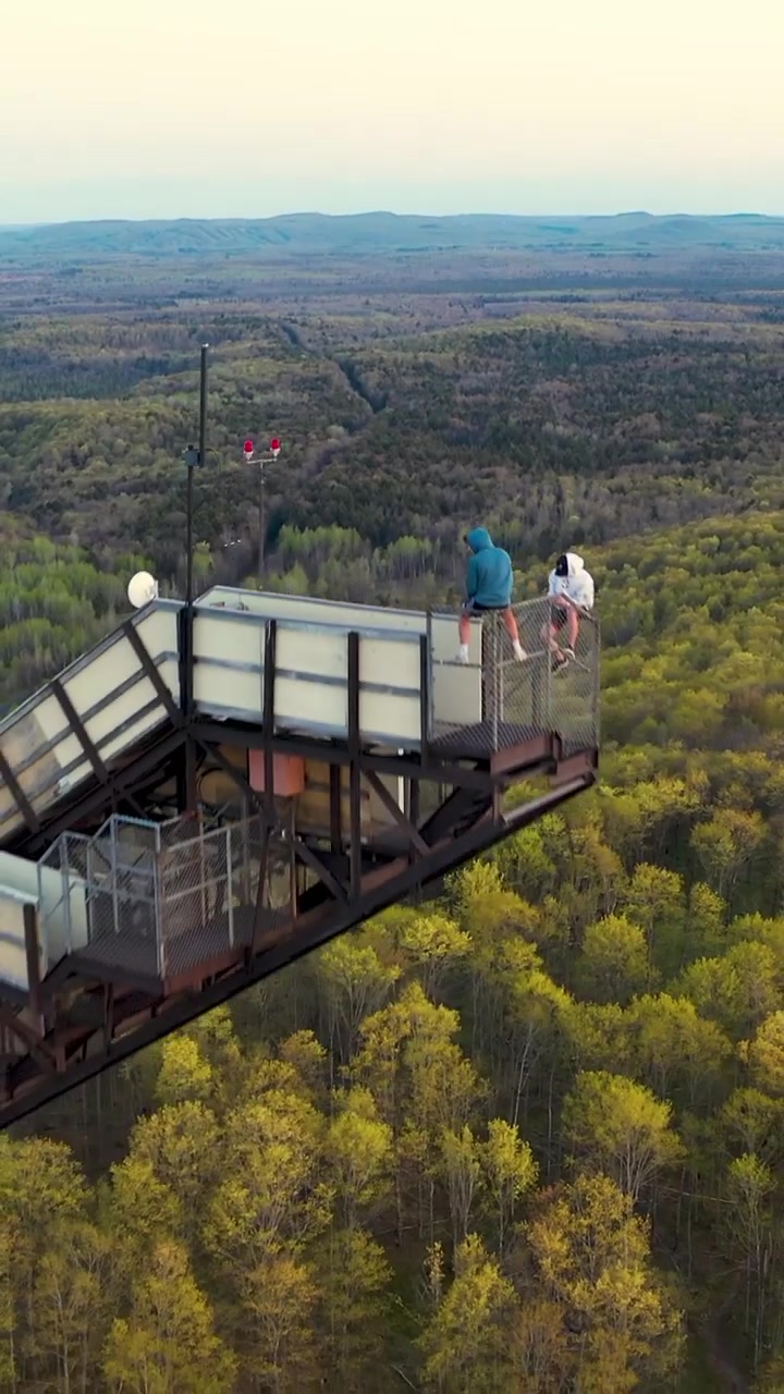 Scenic Overlook Tower: Forest View