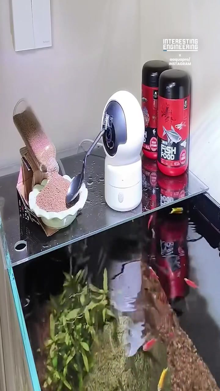aQuaPro Automated Fish Feeder Review: Precision Feeding for Your Aquarium