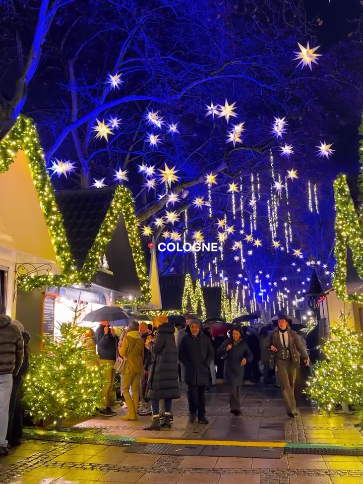 Cologne Christmas Market Festive Lights