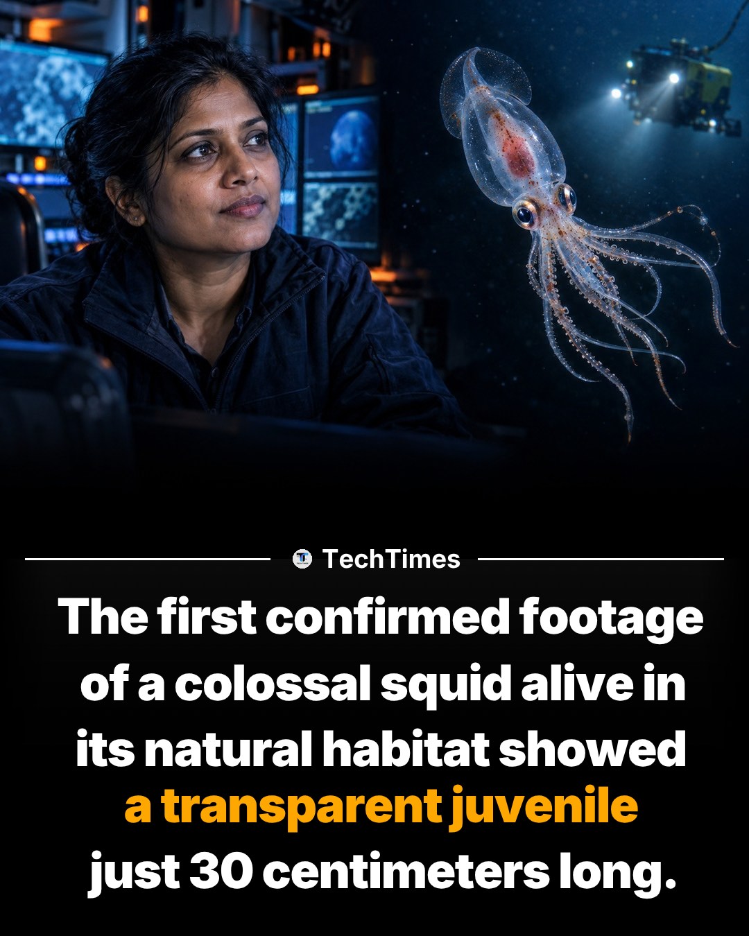 First Confirmed Footage of Colossal Squid Alive