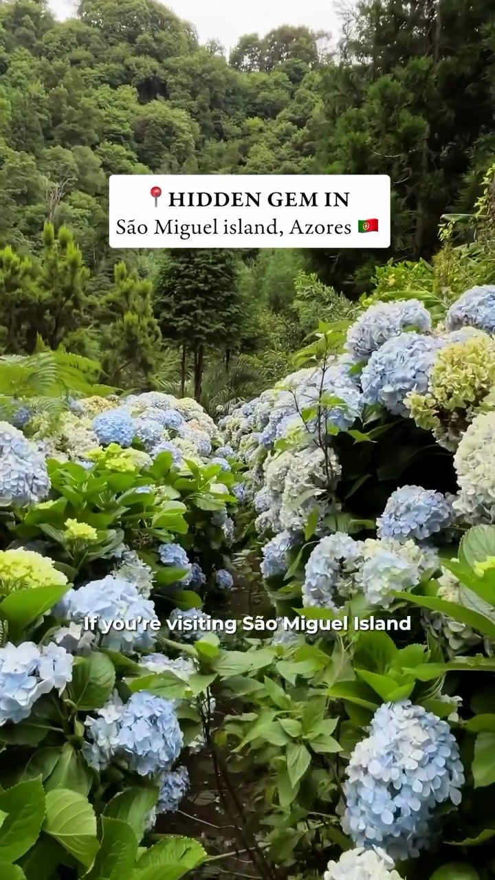 Discover the Hidden Porto Formoso Waterfall Hike in São Miguel, Azores